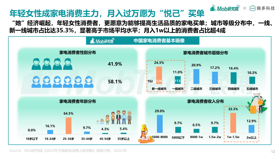 报告页面12