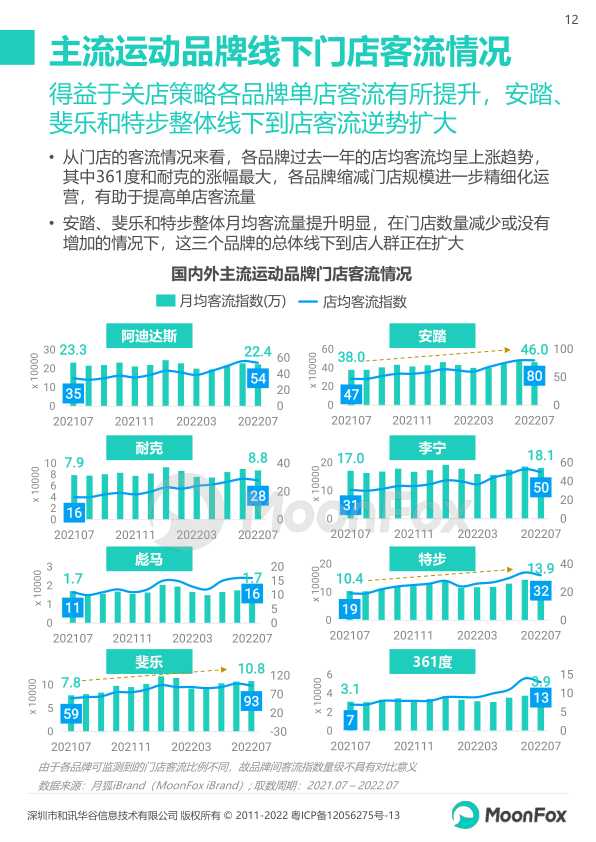 报告页面12