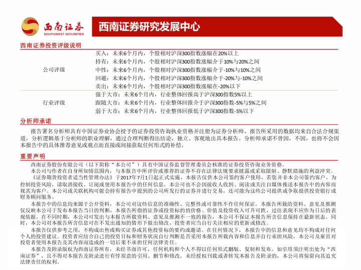 报告页面35