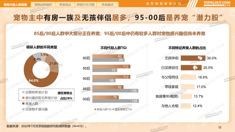 报告页面12