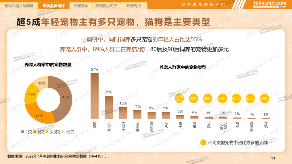 报告页面13