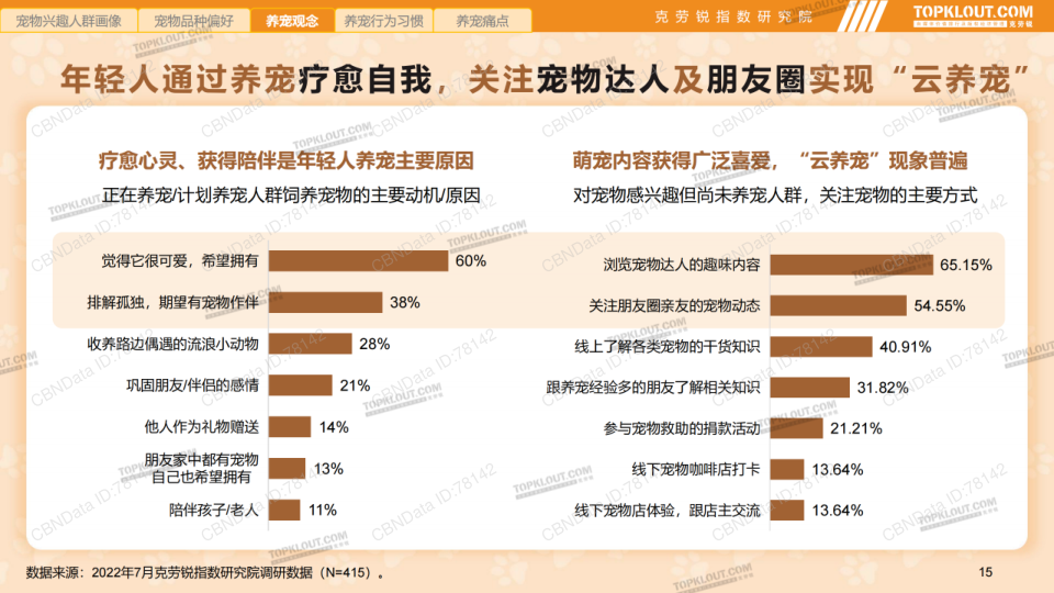 报告页面15