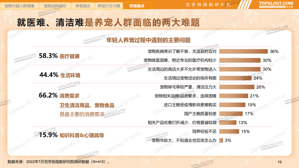 报告页面19