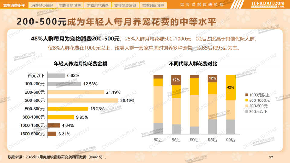 报告页面22