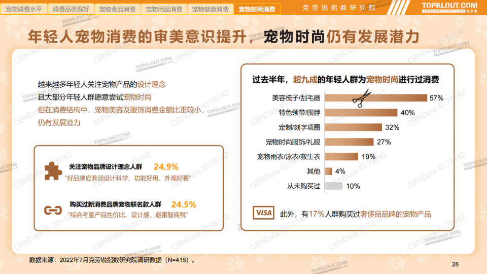 报告页面28