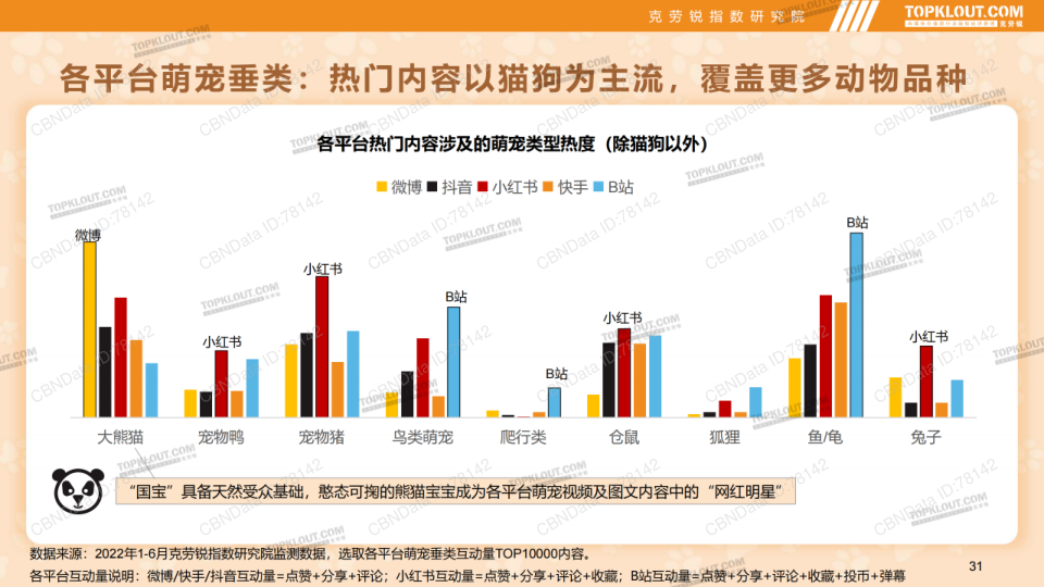 报告页面31