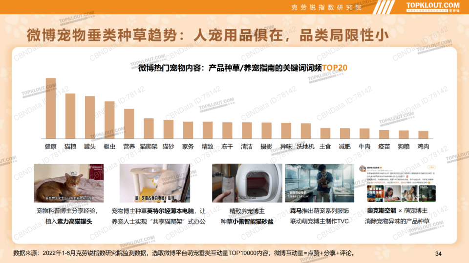 报告页面34