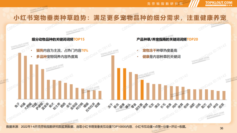 报告页面36