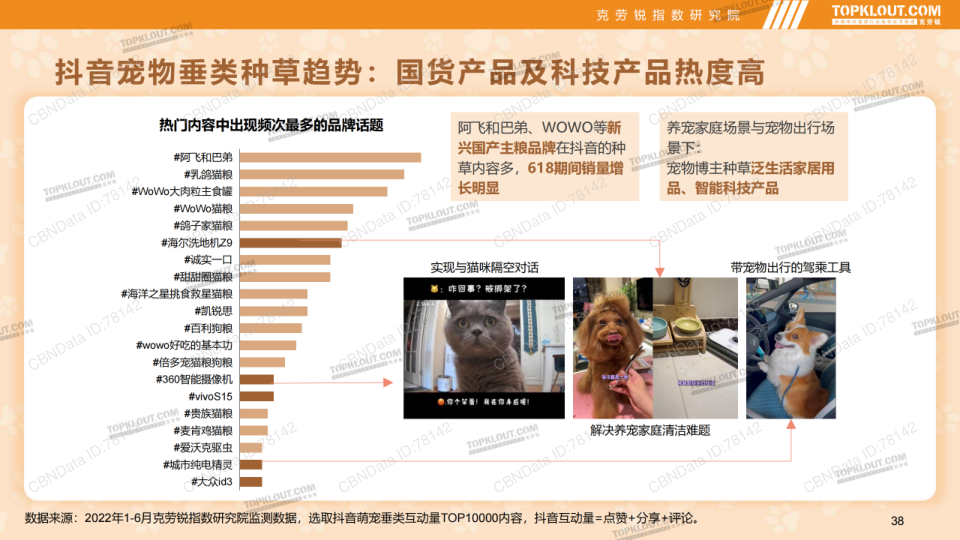 报告页面38