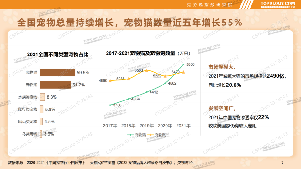 报告页面7