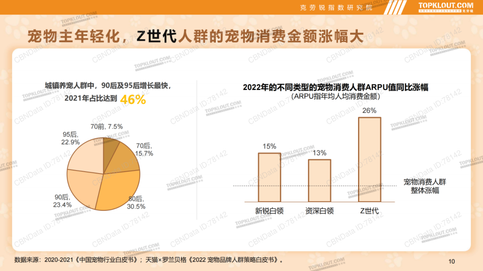 报告页面10