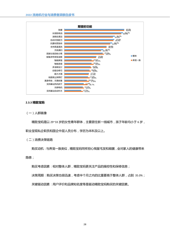 报告页面31