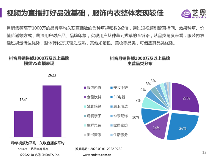 报告页面13