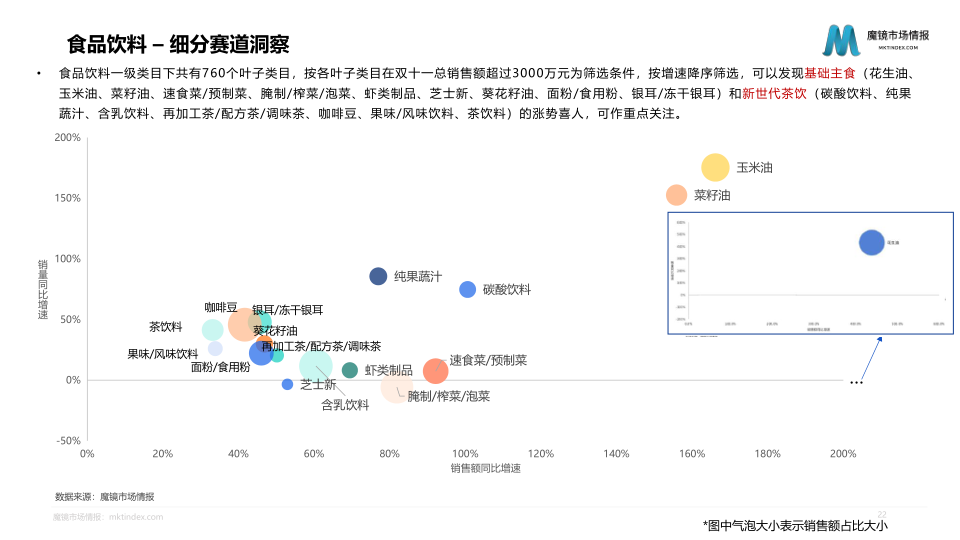 报告页面22