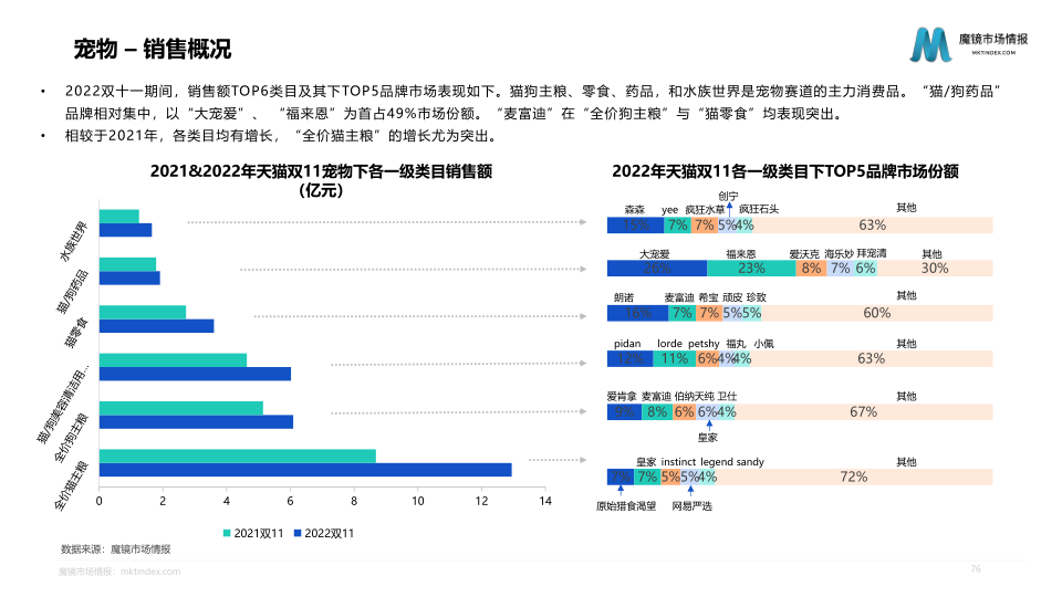 报告页面76