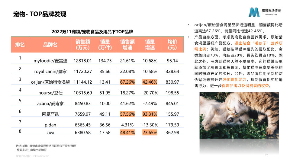 报告页面77