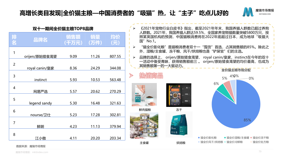 报告页面79