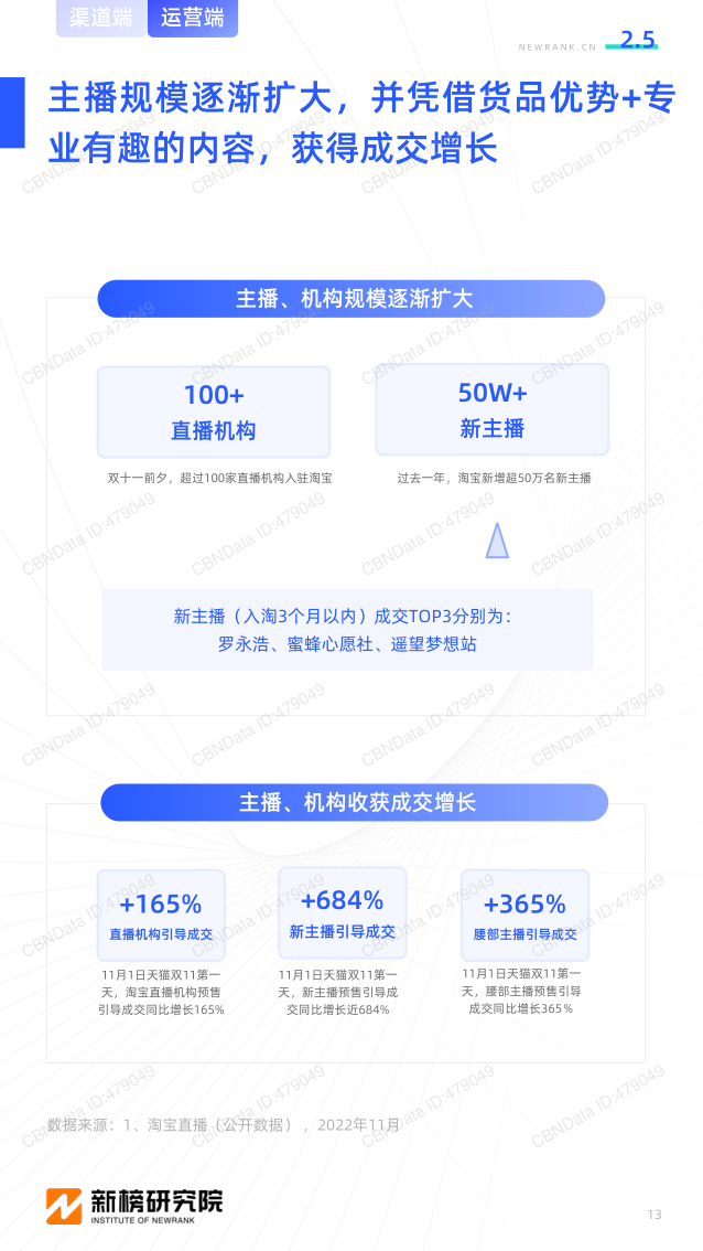 报告页面13