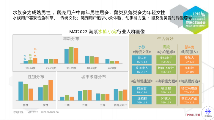 报告页面36