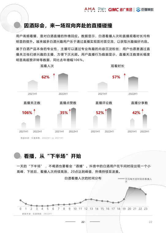 报告页面22