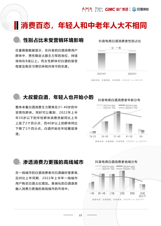 报告页面23