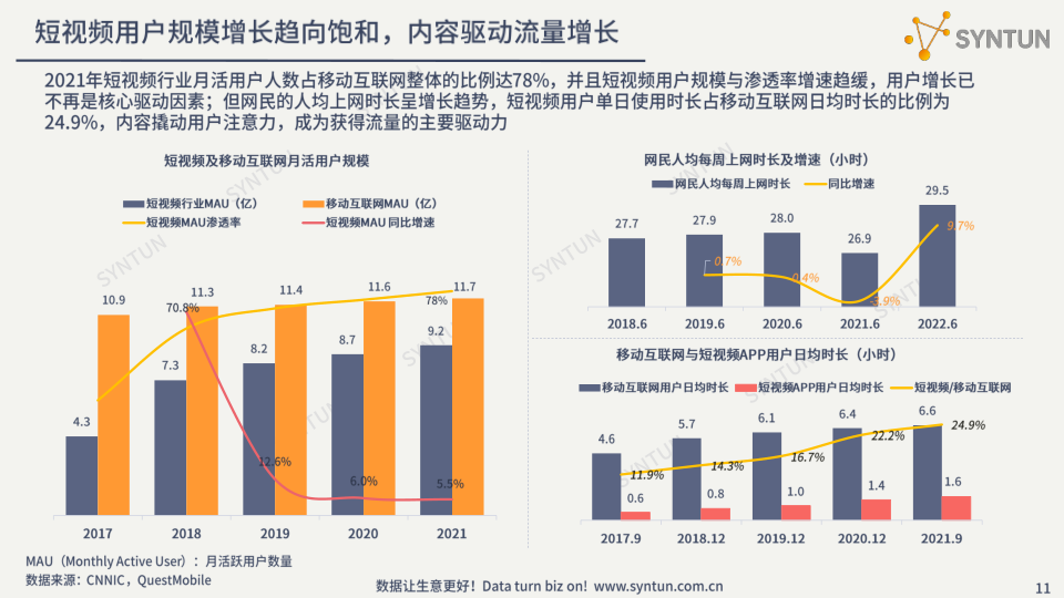 报告页面11