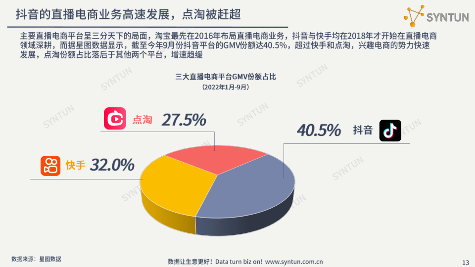 报告页面13