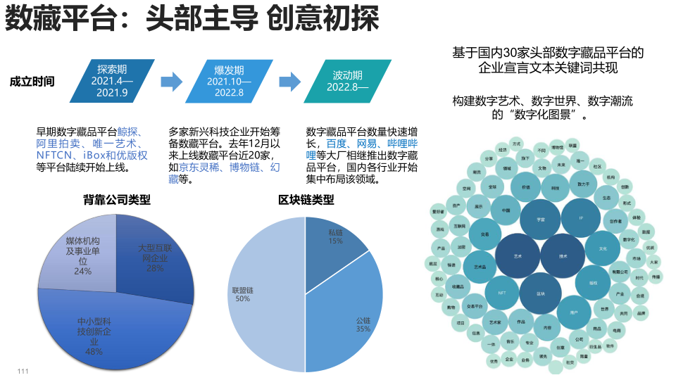 报告页面111