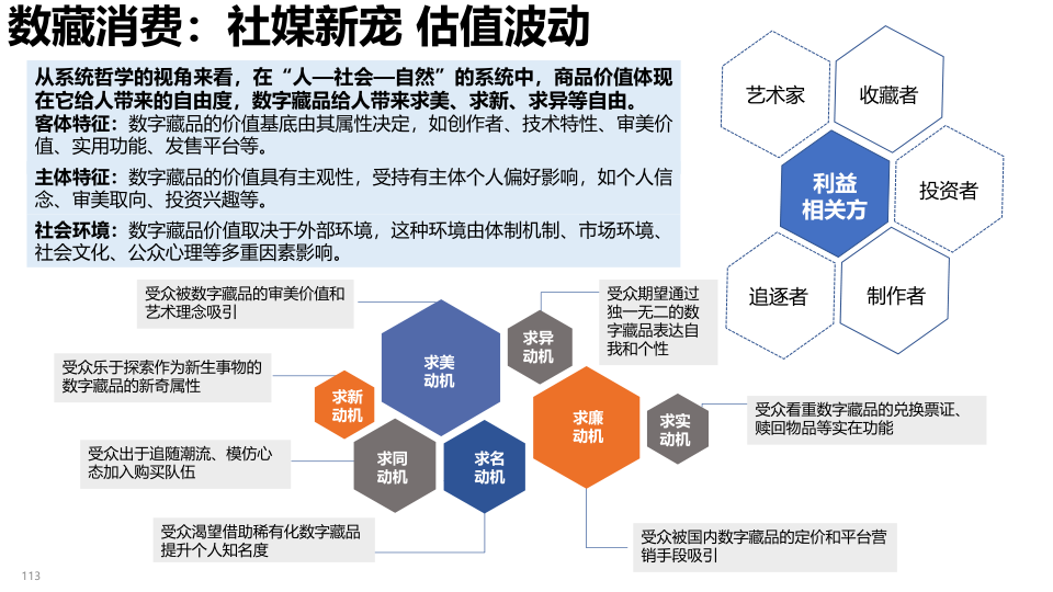 报告页面113