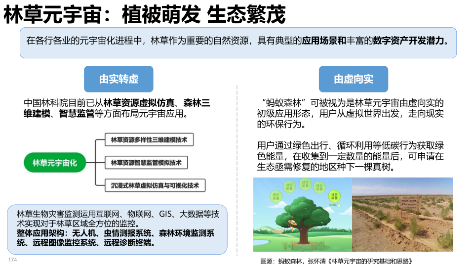 报告页面174