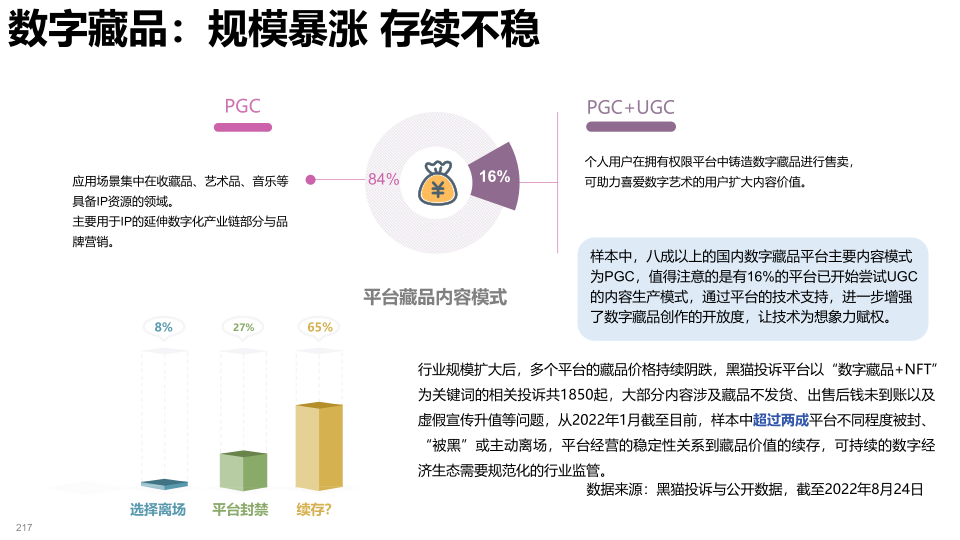 报告页面217