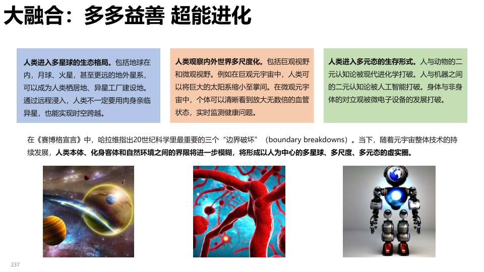 报告页面237