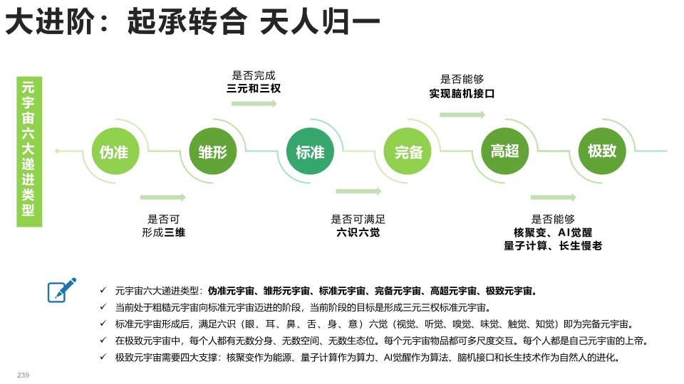 报告页面239