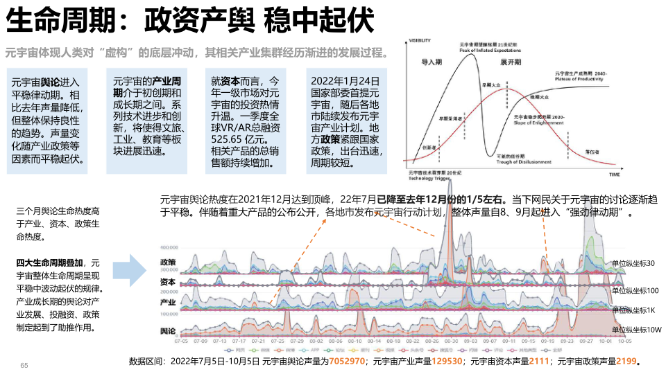 报告页面65