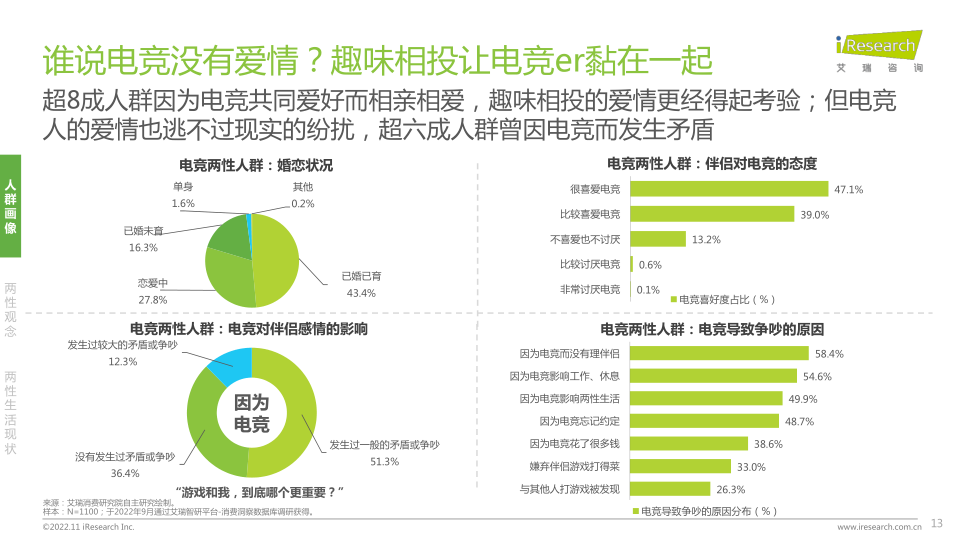 报告页面13