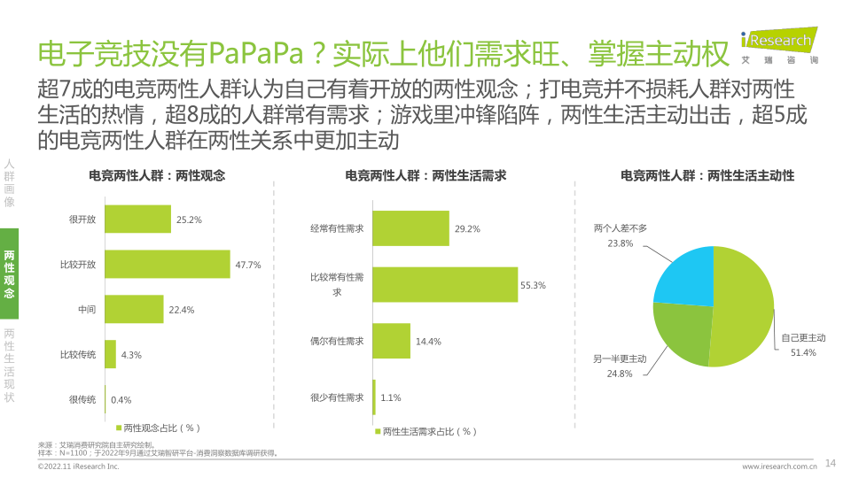 报告页面14