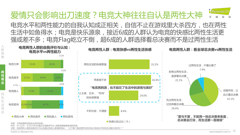 报告页面15