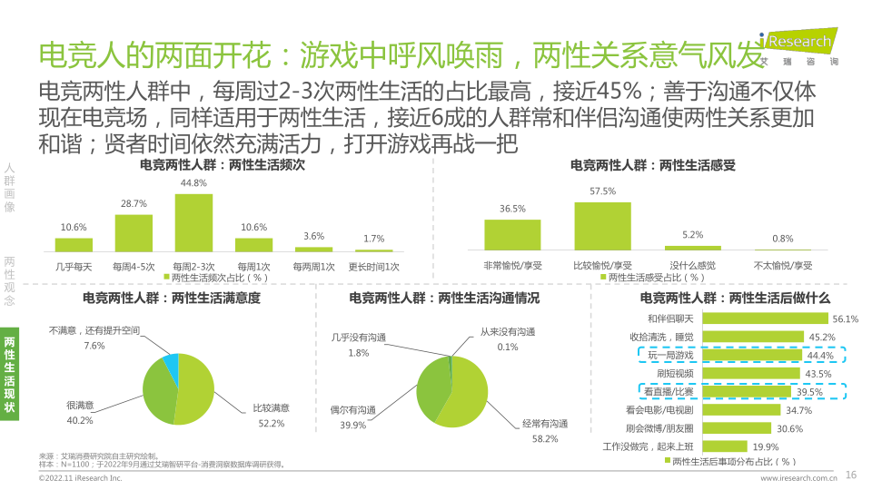 报告页面16