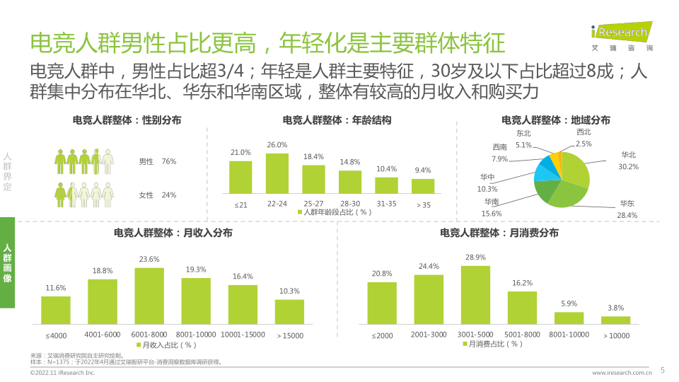 报告页面5