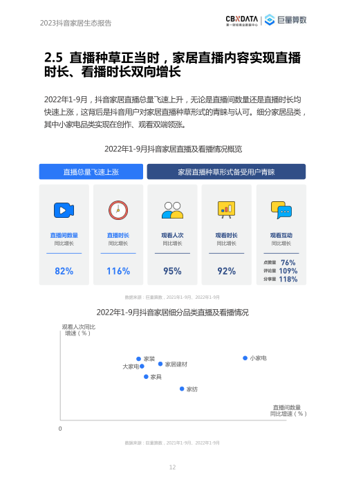 报告页面12