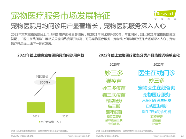 报告页面13