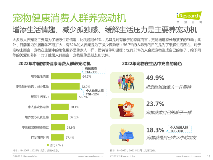 报告页面19