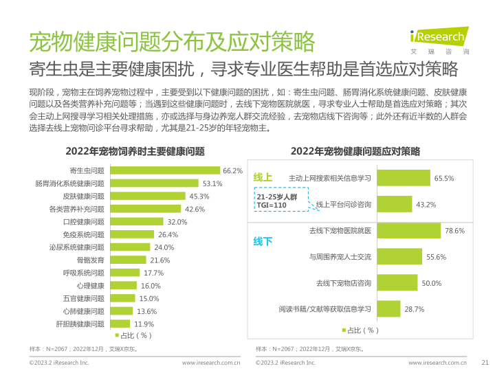 报告页面21