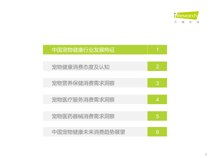 报告页面4