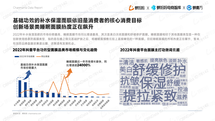 报告页面10