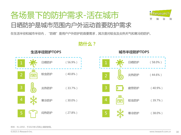 报告页面30