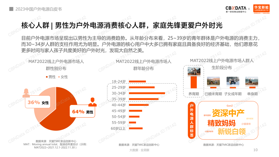 报告页面10