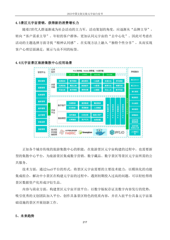 报告页面217