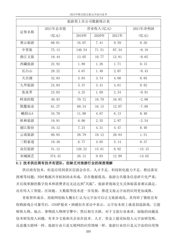 报告页面223