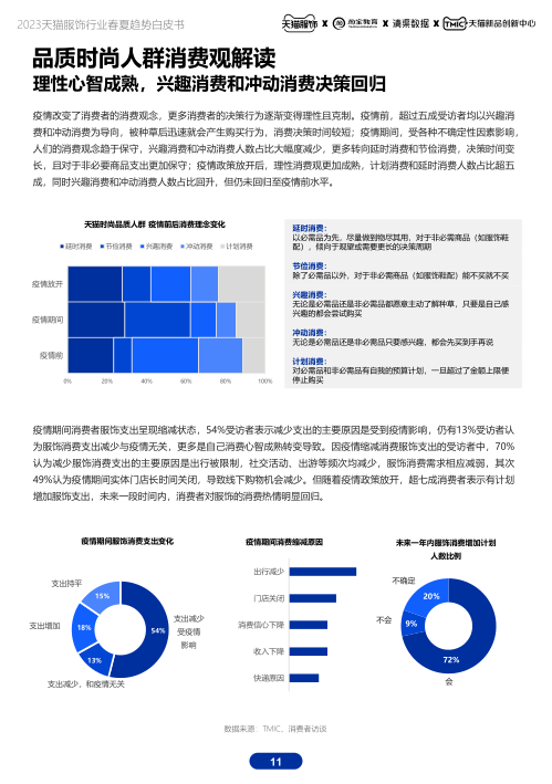 报告页面11